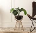 Twin Medium Bloom Black floor  planters Online Sale