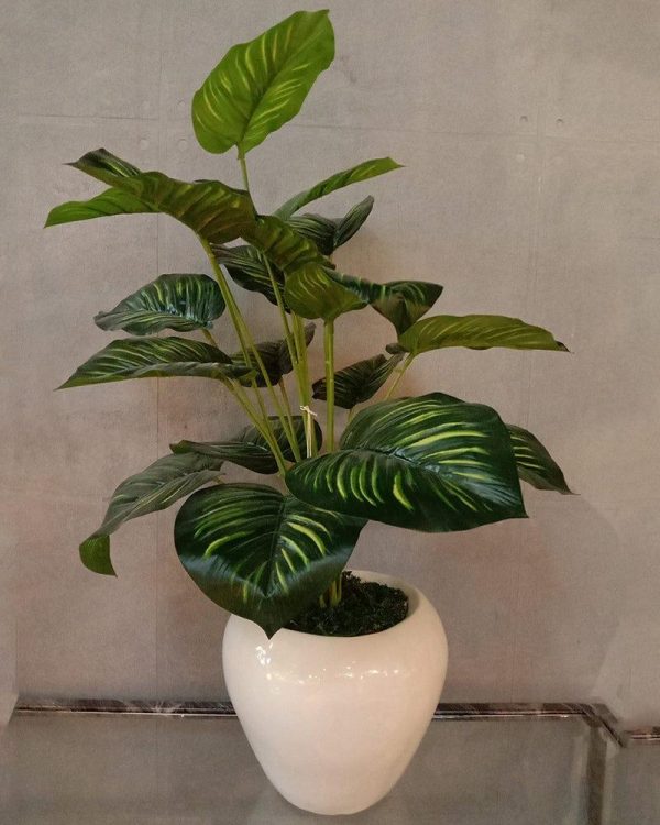 White Pot with Green Plant Planter For Discount