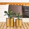 Golden Planter Home Garden Hot on Sale