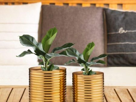 Golden Planter Home Garden Hot on Sale