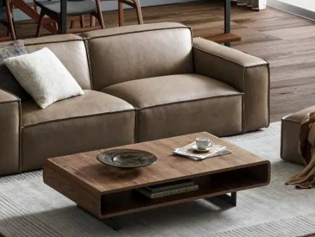 Peri  Walnut Veneer with Engineered Wood Coffee Table on Sale