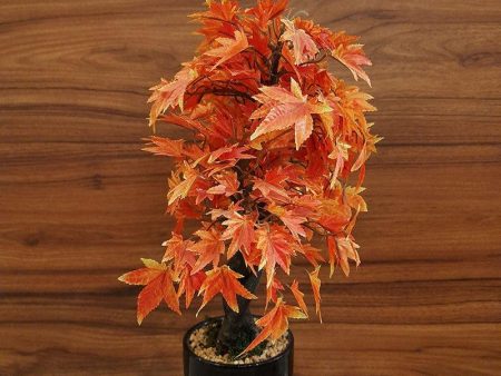 Orange Polyester Artificial Plant with Pot For Cheap