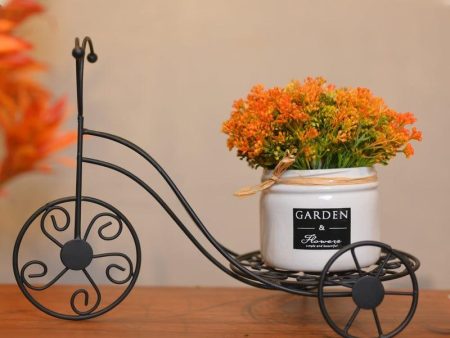 Metal Rickshaw & Ceramic Flower Planter ( Combo Offer ) Fashion