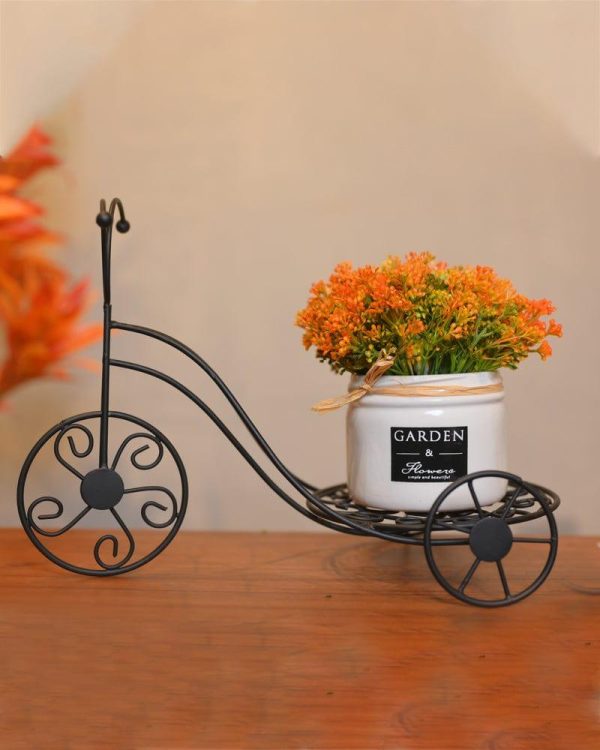 Metal Rickshaw & Ceramic Flower Planter ( Combo Offer ) Fashion