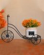 Metal Rickshaw & Ceramic Flower Planter ( Combo Offer ) Fashion