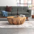 baby Mango Solid Wood Coffee Table on Sale