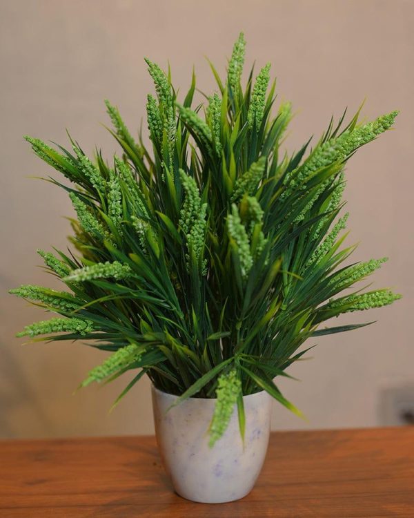 White Small Ceramic Pot with Green Table Planter Online now