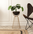 Twin Large Bloom Black floor  planters Online