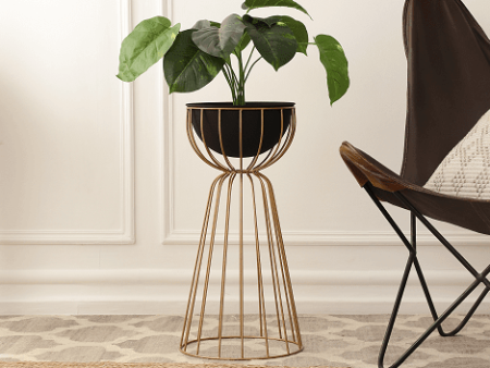 Twin Large Bloom Black floor  planters Online